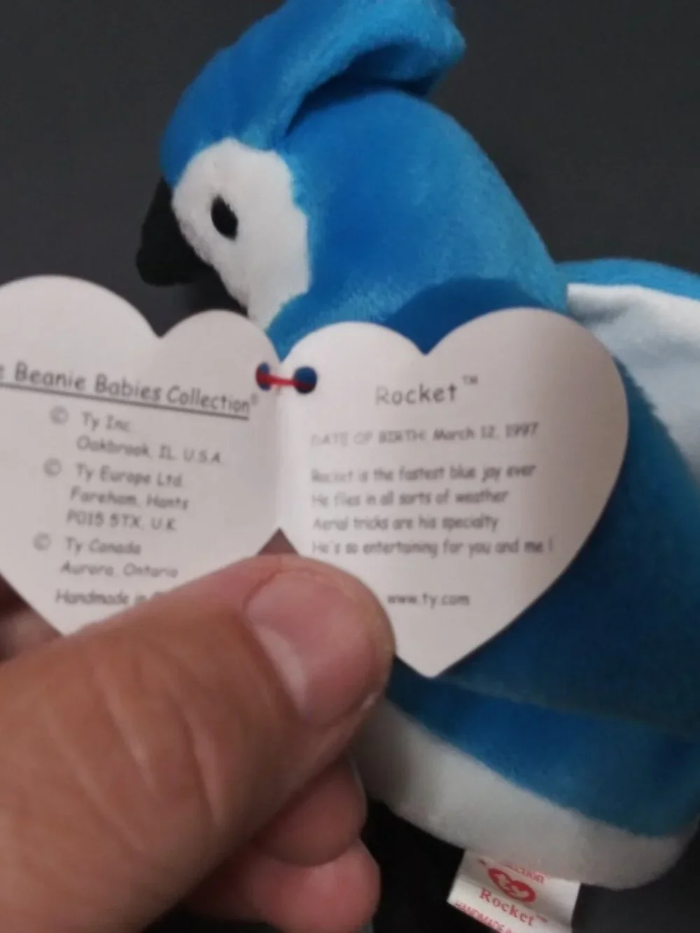 NM OG Collectable TY Beanie Baby Rocket 1997/1998 Tag ERROR RETIRED Display Case